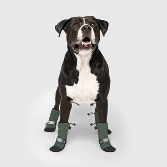 Soft Shield Boots in Green, Canada Pooch Dog Boots