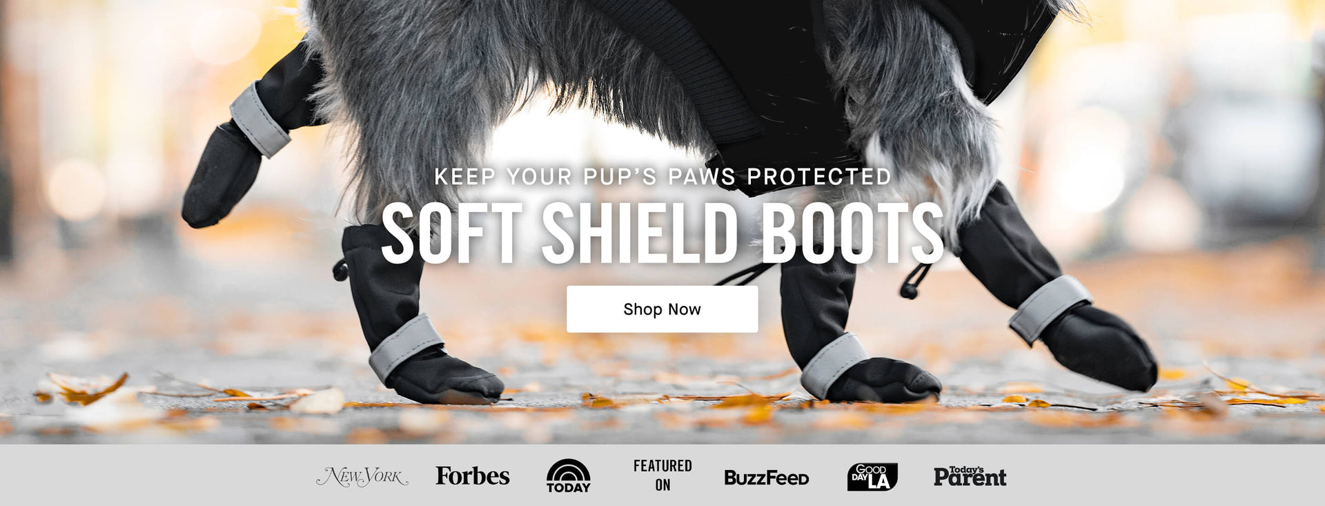 Canada Pooch Dog Clothes and Accessories Dog Apparel