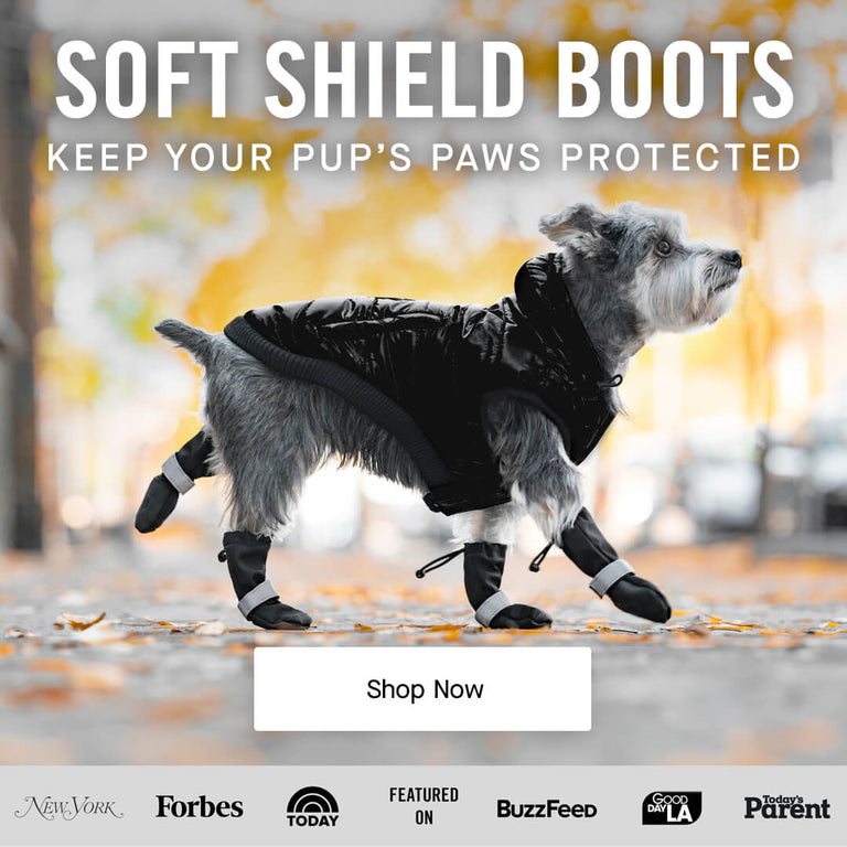 Canada Pooch Dog Clothes and Accessories Dog Apparel