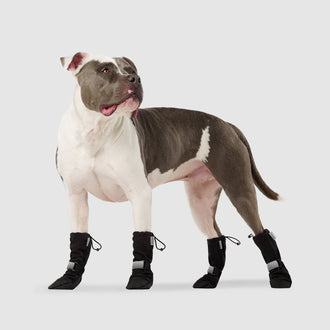 Soft Shield Boots in Black Reflective, Canada Pooch Dog Boots|| color::black-reflective|| size::5|| name:: Rico The American Bulldog || weight::63