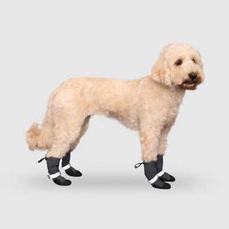 Soft Shield Dog Boots in Reflective, Canada Pooch, Dog Boot || color::reflective || name::Oshie || size::3