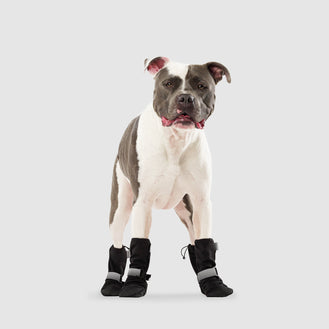 Soft Shield Boots in Black Reflective, Canada Pooch Dog Boots|| color::black-reflective|| size::5|| name:: Rico The American Bulldog || weight::63