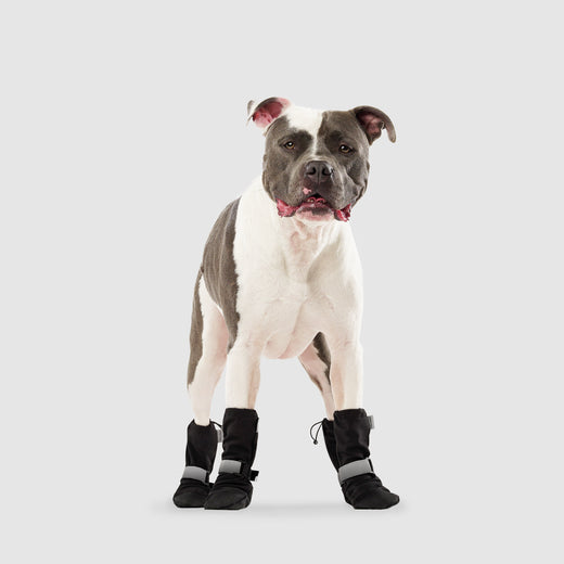 Canada Pooch Soft Shield Boots Black 3