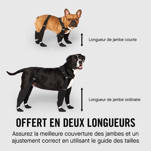 Bottes Avec Bretelles Pour Chien - Pantalon De Neige Imperméable Pour Petit Animal De Compagnie - Pour L'hiver, La Neige, La Pluie Et La Marche En Plein Air - Orange - Taille