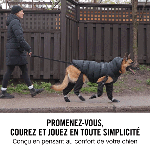 View of Suspender Winter Dog Boots | Canada Pooch