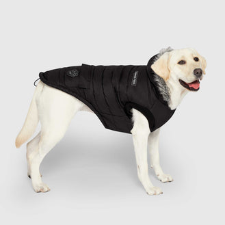 True North Parka in Black, Canada Pooch Dog Parka