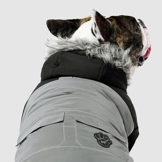 The True North Dog Parka in Reflective, Canada Pooch || color::reflective || size::18