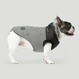 The True North Dog Parka in Reflective, Canada Pooch 