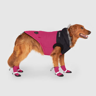 True North Parka in Pink, Canada Pooch Dog Parka