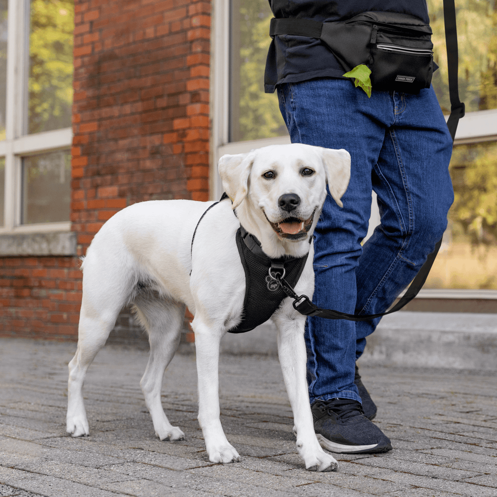 Everything Harness