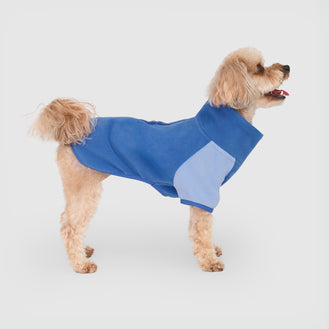 Weather-Resistant Fleece Pullover in Electric Blue, Canada Pooch Dog Sweater || color::electric-blue || name::Louis the Yorkipoo ||size::12
