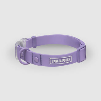 Waterproof Collar in Lavender, Canada Pooch, Dog Collar|| color::lavender|| size::na