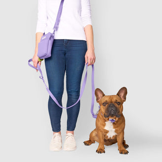 Waterproof Leash in Lavender, Canada Pooch, Dog Leash