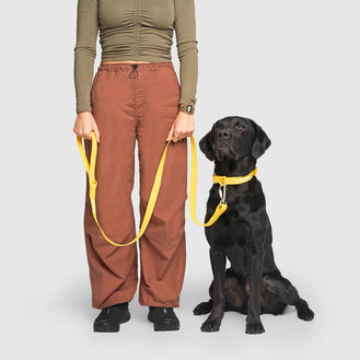 Waterproof Leash in Yellow, Canada Pooch, Dog Leash 