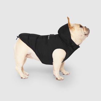 Dog Jackets Coats Winter Jackets Coats Parkas Canada Pooch