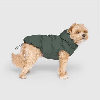 Waterproof Puffer in Forest Green, Canada Pooch Dog Parka