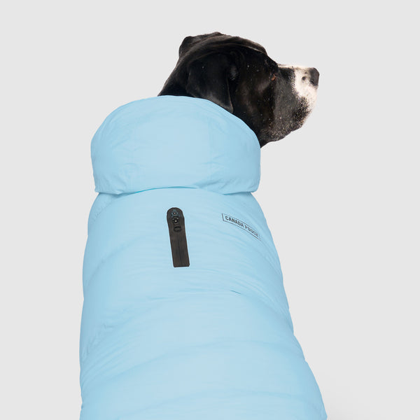 The Waterproof Puffer Insulated Dog Parka Canada Pooch