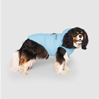 Waterproof Puffer in Ice Blue, Canada Pooch Dog Parka