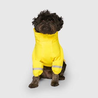 Waterproof Raincoat in Yellow, Canada Pooch Dog Raincoat|| color::yellow|| size::14|| name:: Bowie the Cavapoo|| weight::17