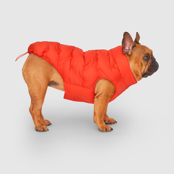 Waterproof Sport Puffer in Cayenne, Canada Pooch Dog Jacket