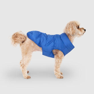 Waterproof Sport Puffer in Electric Blue, Canada Pooch Dog Jacket|| color::electric-blue || name:: Louis the Yorkipoo || size:: 12||