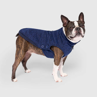 Dog knitwear best sale