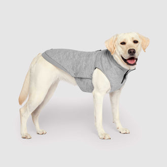 Waterproof Sweater in Grey, Canada Pooch Dog Sweater