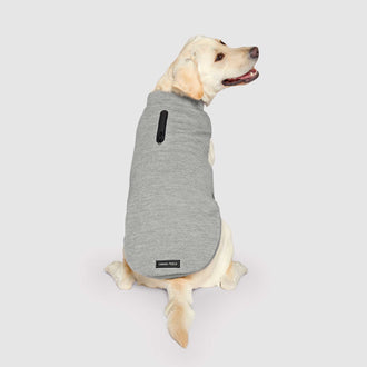 Waterproof Sweater in Grey, Canada Pooch Dog Sweater|| color::grey|| size::24|| name:: Lilo the Labrador Retriever|| weight::56