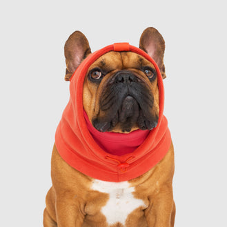 Weather-Resistant Fleece Balaclava in Cayenne, Canada Pooch Dog Balaclava || color::cayenne||name::Jocko the French Bulldog|| size::l