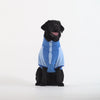 Weather-Resistant Fleece Pullover in Cayenne, Canada Pooch Dog Sweater || color::eletric-blue
