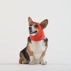 Weather-Resistant Fleece Balaclava in Cayenne, Canada Pooch Dog Balaclava || color::cayenne