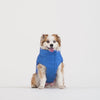 Waterproof Sport Puffer in Electric Blue, Canada Pooch Dog Jacket|| color::electric-blue