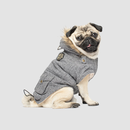 Alaskan Army Dog Parka in Salt Pepper, Canada Pooch Dog Parka