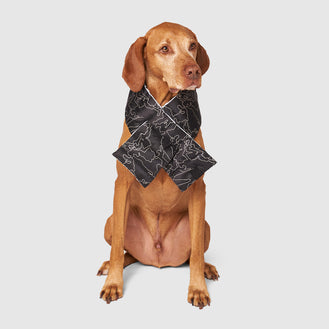 All The Right Puff Scarf in Black Reflective, Canada Pooch Dog Hat