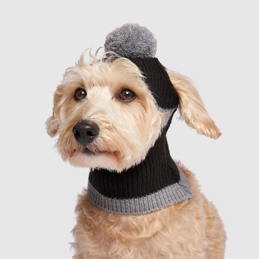 The 2-In-1 Bandit Hat in Black, Canada Pooch Dog Hat