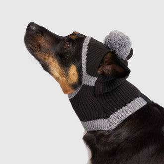 The 2-In-1 Bandit Hat in Black, Canada Pooch Dog Hat|| color::black|| size::L|| name:: Moira The Corgi German Shepherd Mix|| weight::35