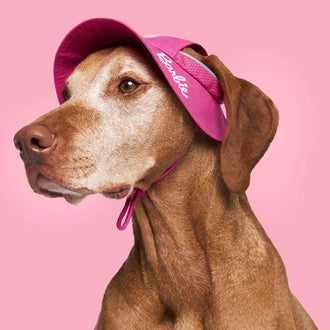 Barbie Bel-Air Bucket Hat in Dark Pink, Canada Pooch Dog Hat|| color::dark-pink|| size::L|| name:: Pluto the Vizsla|| weight::60