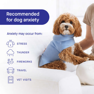 Weighted Calming Vest in Blue, Canada Pooch, Dog Calming|| color::blue|| size::na|| lang::en
