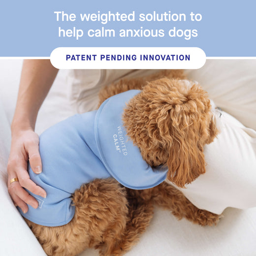 Calming Vest for Dogs