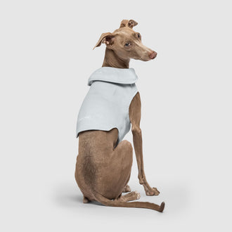 Weighted Calming Vest in Grey, Canada Pooch Dog Calming|| color::grey|| size::S|| name::Luciano the Italian Greyhound|| weight::16