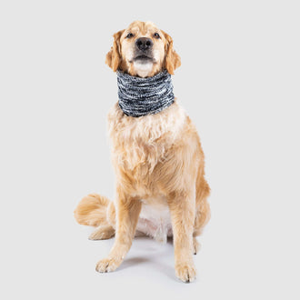 Chenille Dog Snood in a Black Mix, Canada Pooch Dog Scarf || color::black-mix || size::l