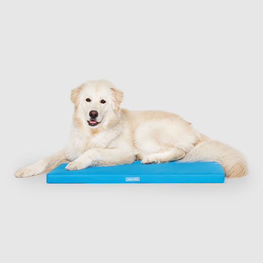Chill Out Cooling Mat in Blue, Canada Pooch Dog Cooling