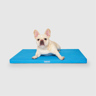 Chill Out Cooling Mat in Blue, Canada Pooch Dog Cooling|| color::blue|| size::O/S|| name:: Hazel the French Bulldog|| weight::25