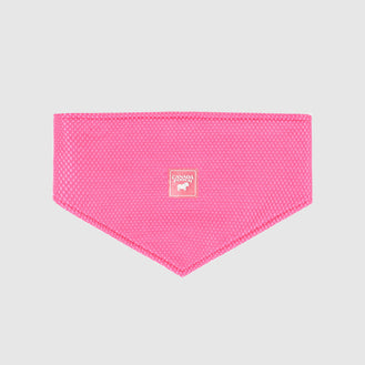 Cooling Bandana in Neon Pink, Canada Pooch Cooling Bandana || color::neon-pink || size::na
