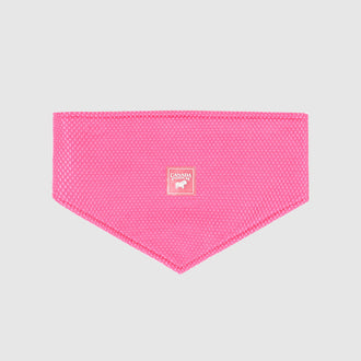 Cooling Bandana in Neon Pink, Canada Pooch Cooling Bandana || color::neon-pink || size::na