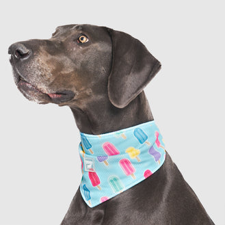Cooling Bandana in Popsicle, Canada Pooch Dog Cooling