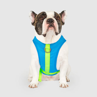 Chill Seeker Cooling Harness in Blue Green, Canada Pooch Dog Harness || color::blue-green || size::18