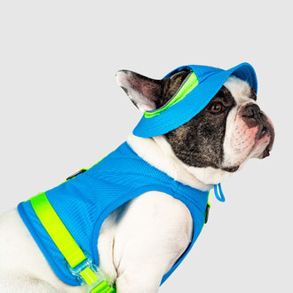 Chill Seeker Cooling Hat in Blue Green, Canada Pooch Dog Hat|| color::blue-green|| size::L|| name:: Bob the French Bulldog|| weight::55