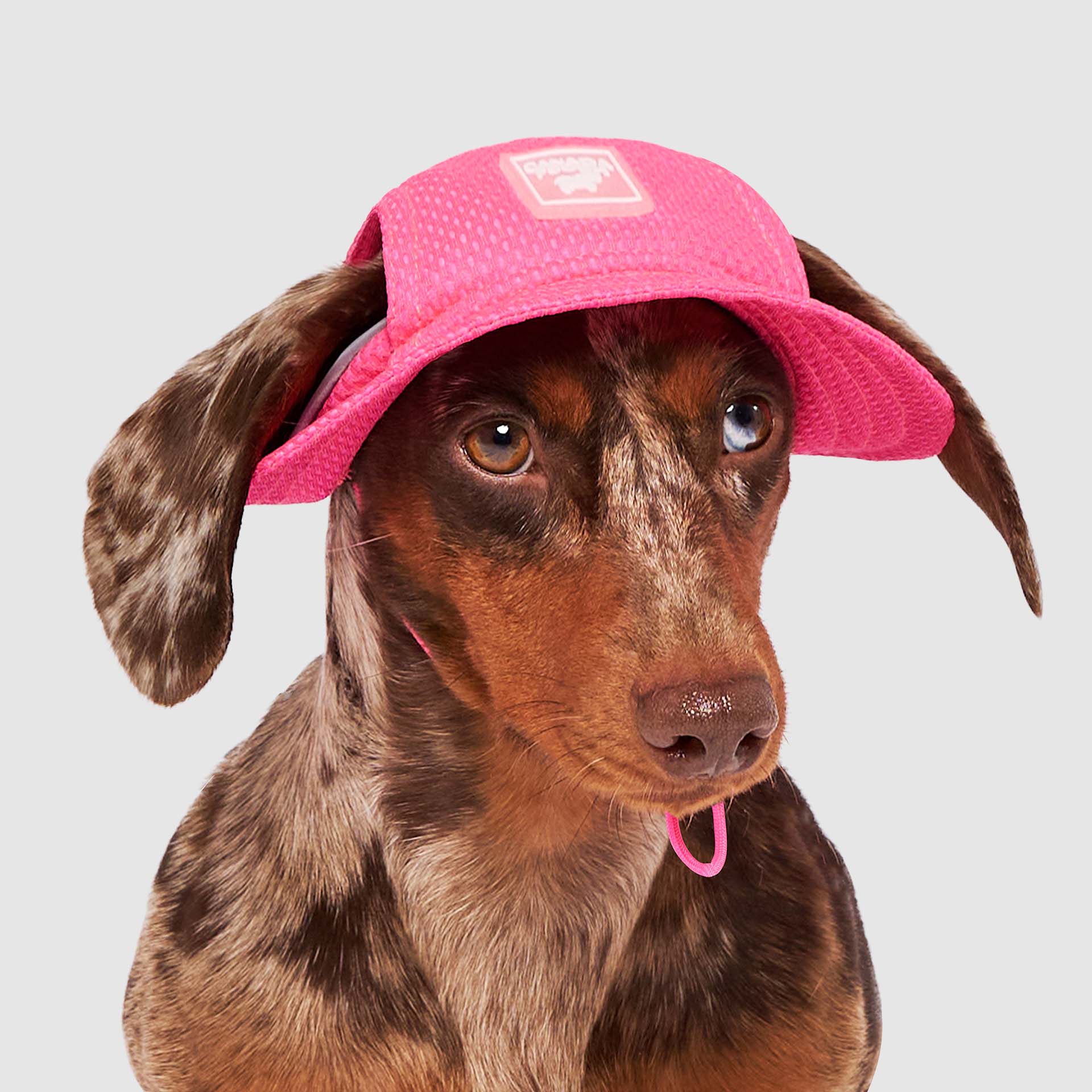 Chill Seeker Cooling Dog Sun Hat | Canada Pooch