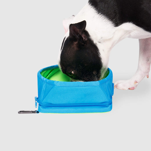 Dog 2025 cooling bowl